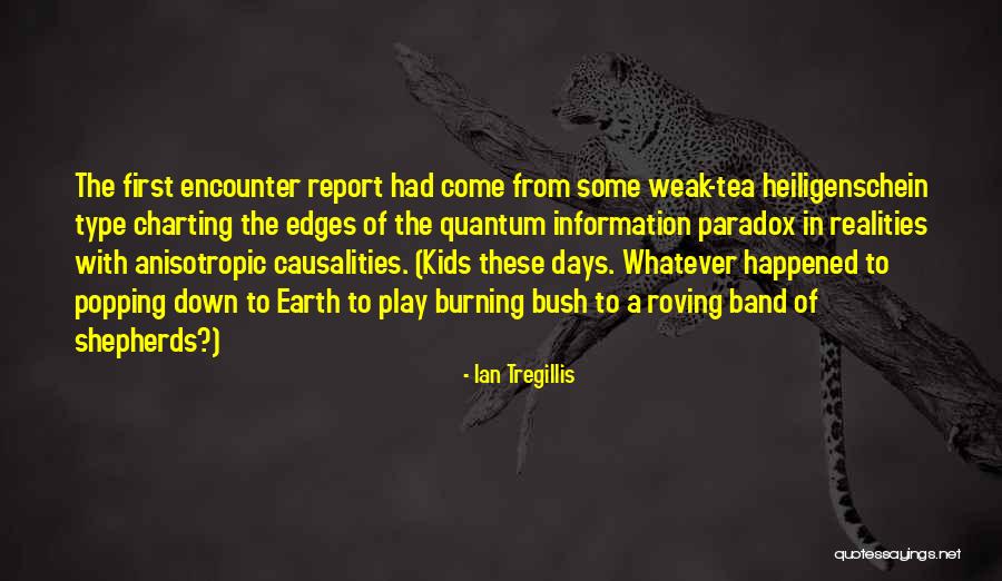 Down Burning Bush Quotes By Ian Tregillis