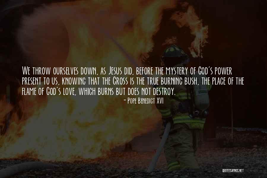 Down Burning Bush Quotes By Pope Benedict XVI