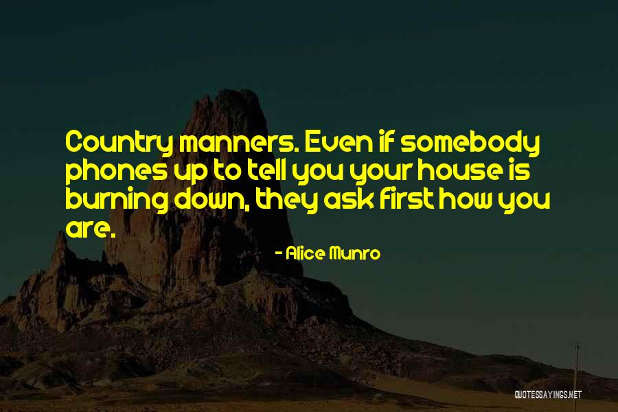 Down Burning Down The House Quotes By Alice Munro Down Burning Down The House Quotes By Alice Munro