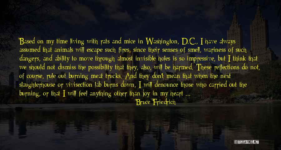 Down Burning Quotes By Bruce Friedrich Down Burning Quotes By Bruce Friedrich