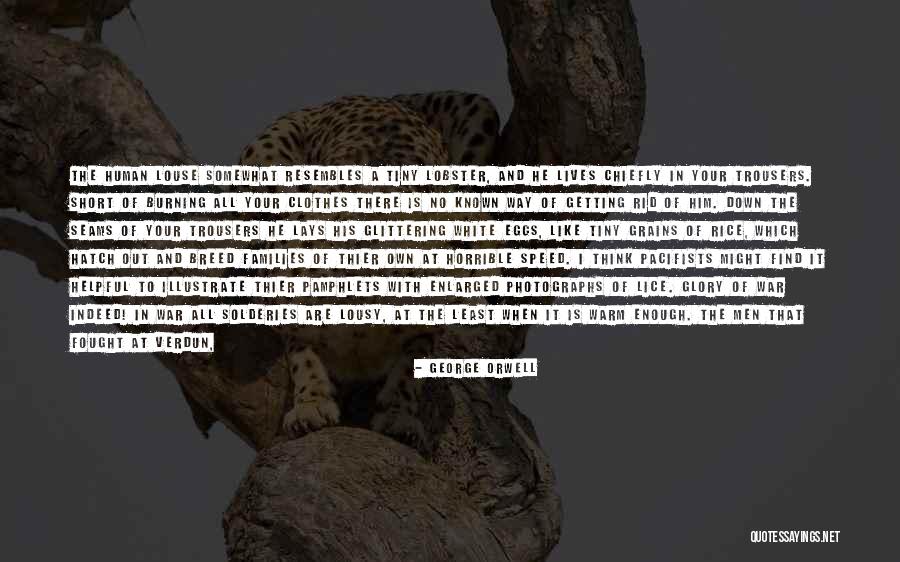 Down Burning Quotes By George Orwell Down Burning Quotes By George Orwell