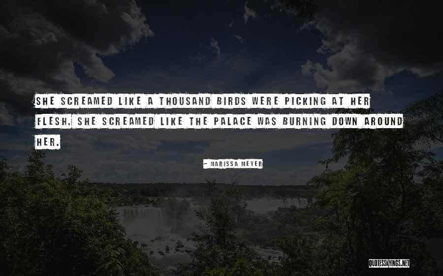 Down Burning Quotes By Marissa Meyer Down Burning Quotes By Marissa Meyer