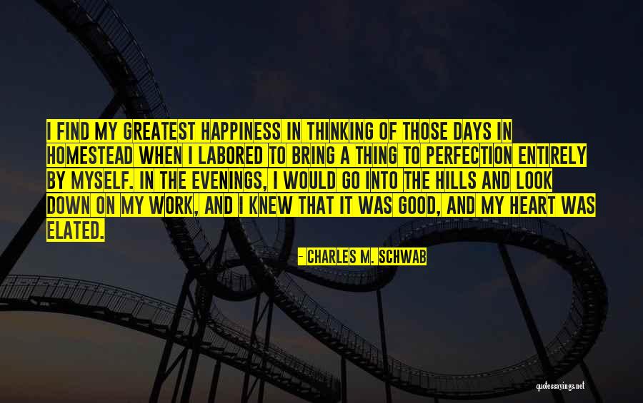 Down Days Quotes By Charles M. Schwab Down Days Quotes By Charles M. Schwab