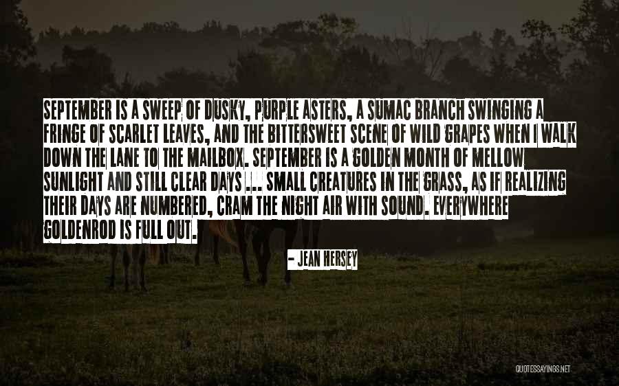 Down Days Quotes By Jean Hersey Down Days Quotes By Jean Hersey