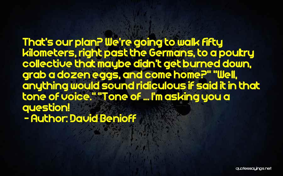 Down Home Quotes By David Benioff