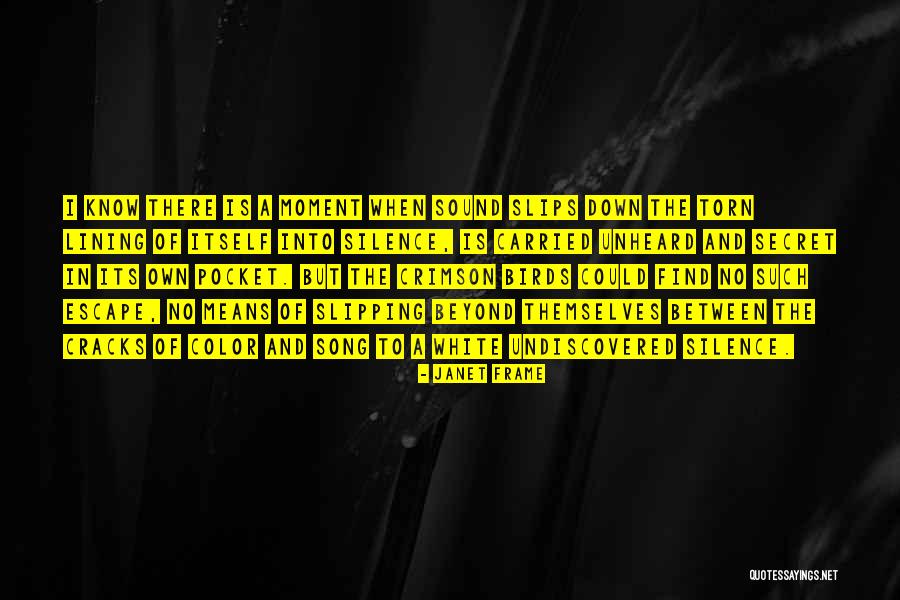 Down Its Quotes By Janet Frame Down Its Quotes By Janet Frame