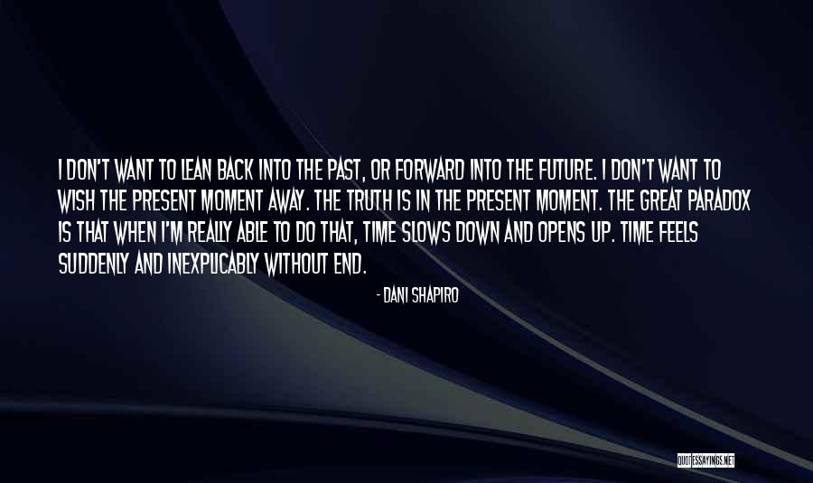Down Moments Quotes By Dani Shapiro Down Moments Quotes By Dani Shapiro