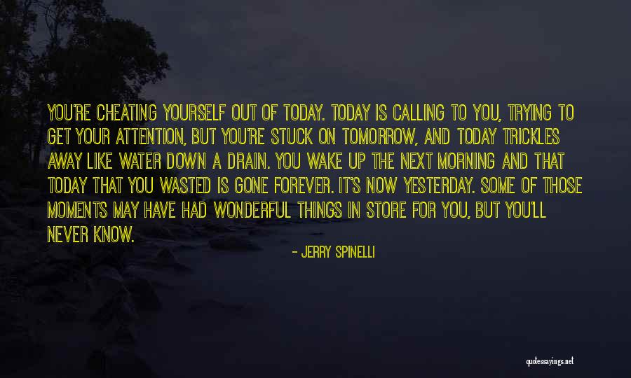 Down Moments Quotes By Jerry Spinelli