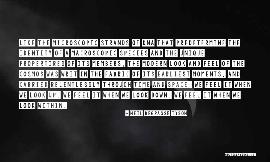 Down Moments Quotes By Neil DeGrasse Tyson Down Moments Quotes By Neil DeGrasse Tyson