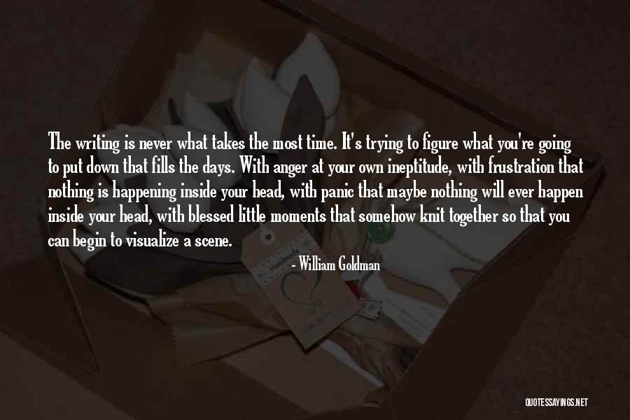 Down Moments Quotes By William Goldman