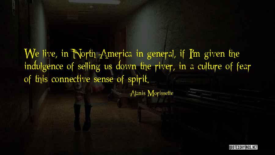 Down North Quotes By Alanis Morissette