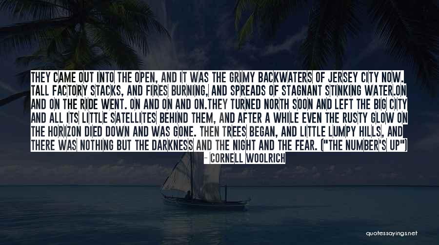 Down North Quotes By Cornell Woolrich