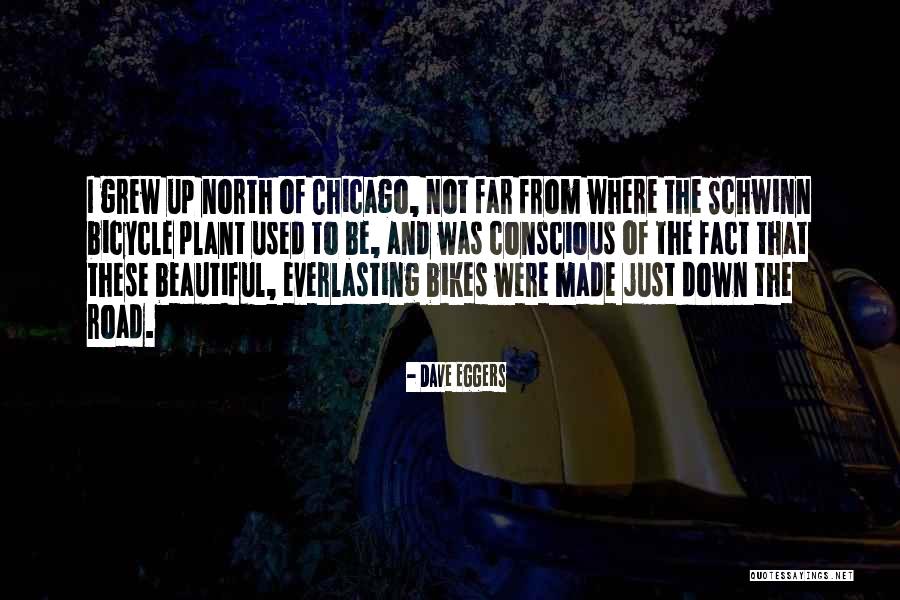 Down North Quotes By Dave Eggers