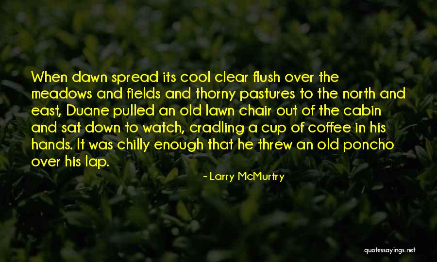 Down North Quotes By Larry McMurtry