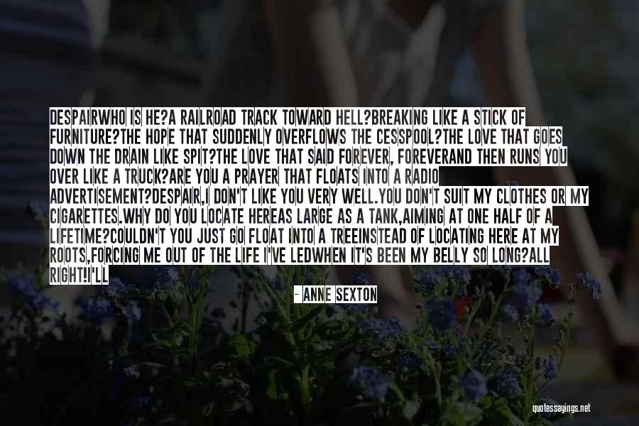 Down The Drain Quotes By Anne Sexton Down The Drain Quotes By Anne Sexton