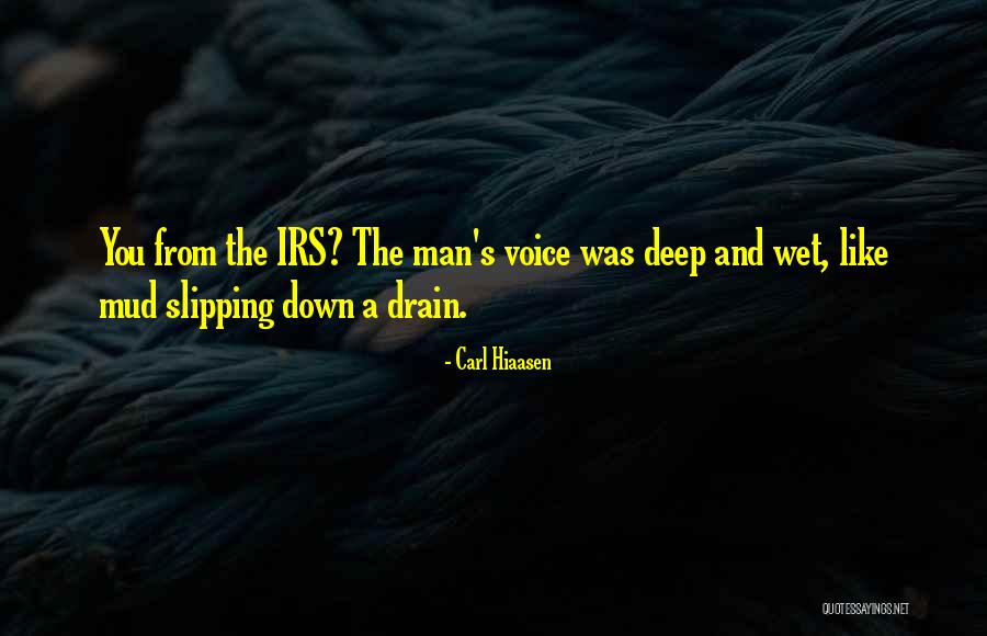 Down The Drain Quotes By Carl Hiaasen Down The Drain Quotes By Carl Hiaasen