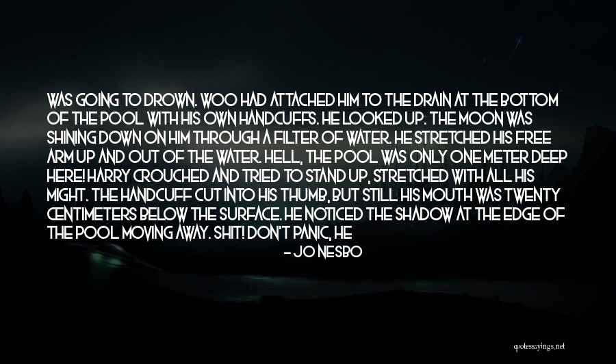 Down The Drain Quotes By Jo Nesbo Down The Drain Quotes By Jo Nesbo