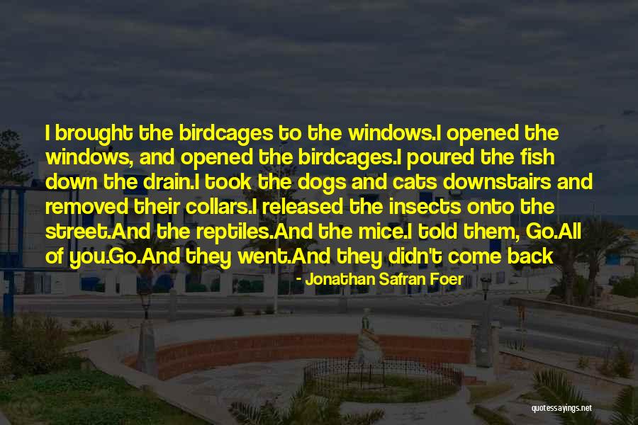 Down The Drain Quotes By Jonathan Safran Foer Down The Drain Quotes By Jonathan Safran Foer