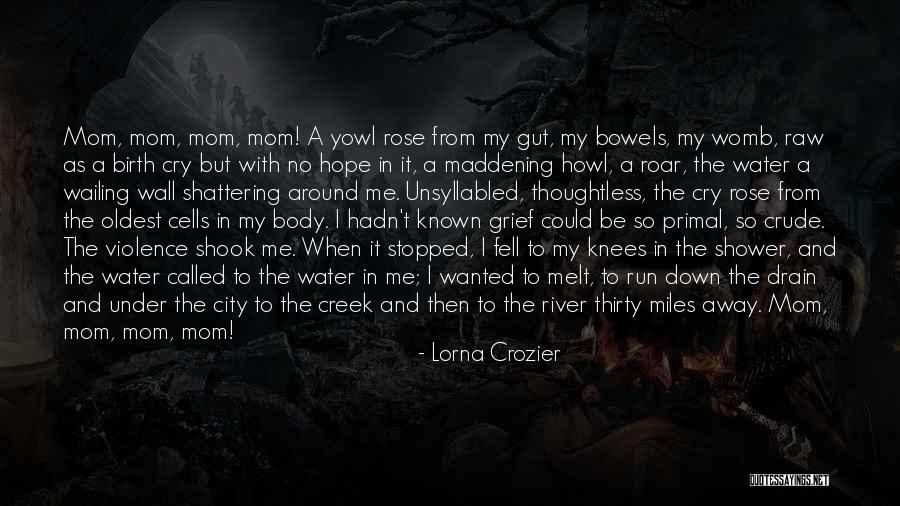 Down The Drain Quotes By Lorna Crozier Down The Drain Quotes By Lorna Crozier