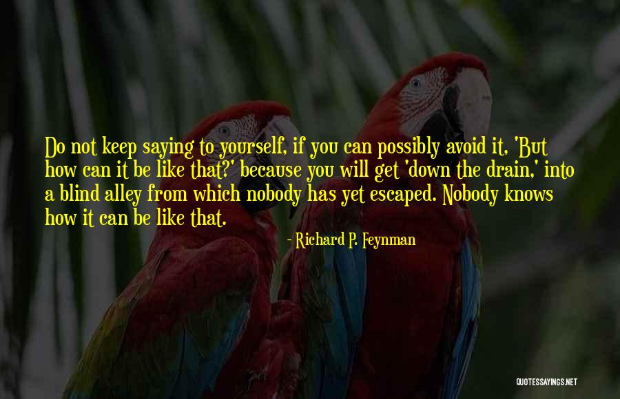 Down The Drain Quotes By Richard P. Feynman Down The Drain Quotes By Richard P. Feynman
