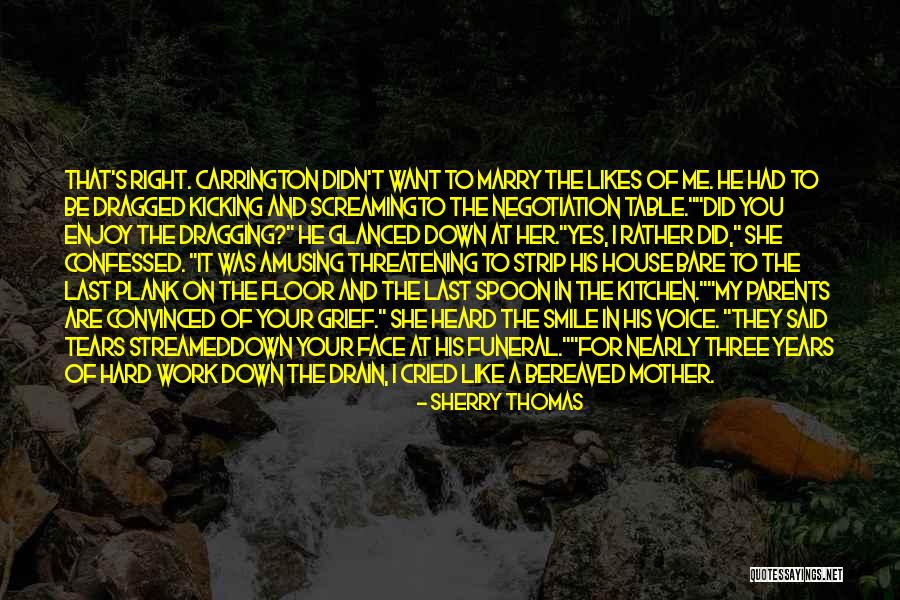 Down The Drain Quotes By Sherry Thomas Down The Drain Quotes By Sherry Thomas