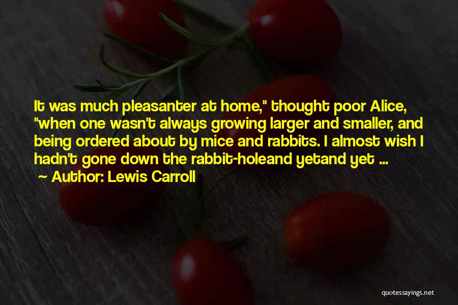 Down The Rabbit Hole Quotes By Lewis Carroll
