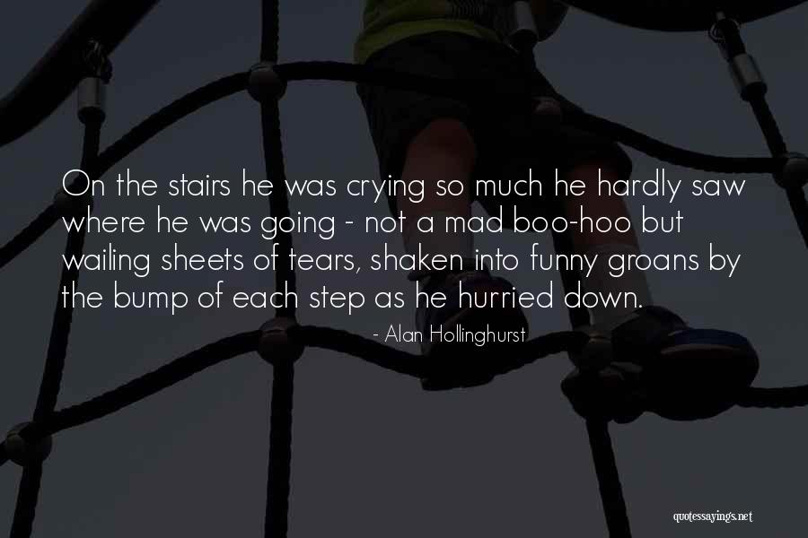 Down The Stairs Quotes By Alan Hollinghurst Down The Stairs Quotes By Alan Hollinghurst