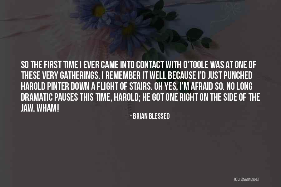 Down The Stairs Quotes By Brian Blessed Down The Stairs Quotes By Brian Blessed