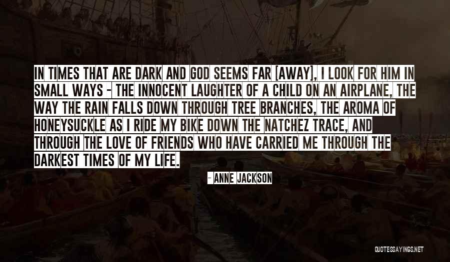 Down Times In Life Quotes By Anne Jackson