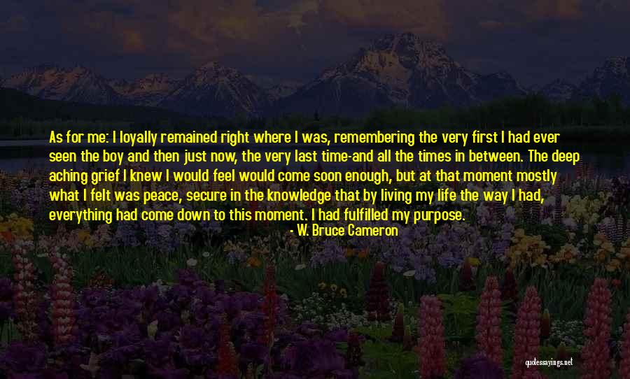 Down Times In Life Quotes By W. Bruce Cameron