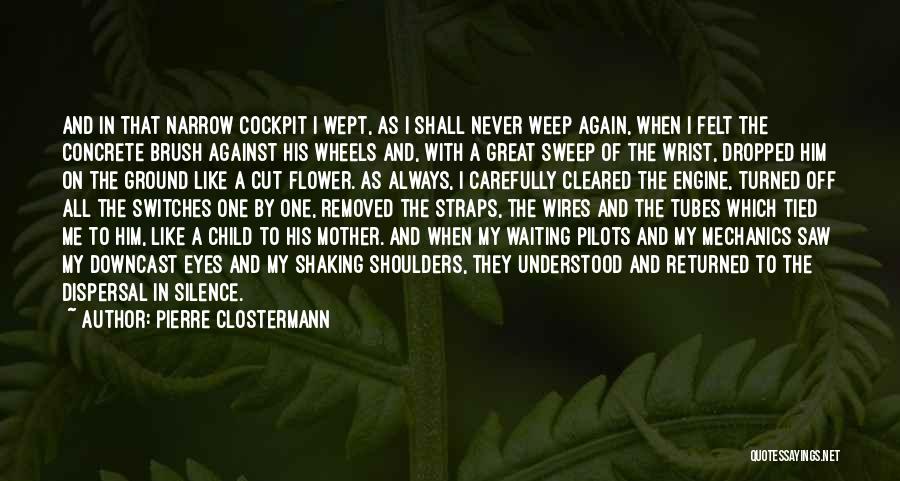 Downcast Quotes By Pierre Clostermann