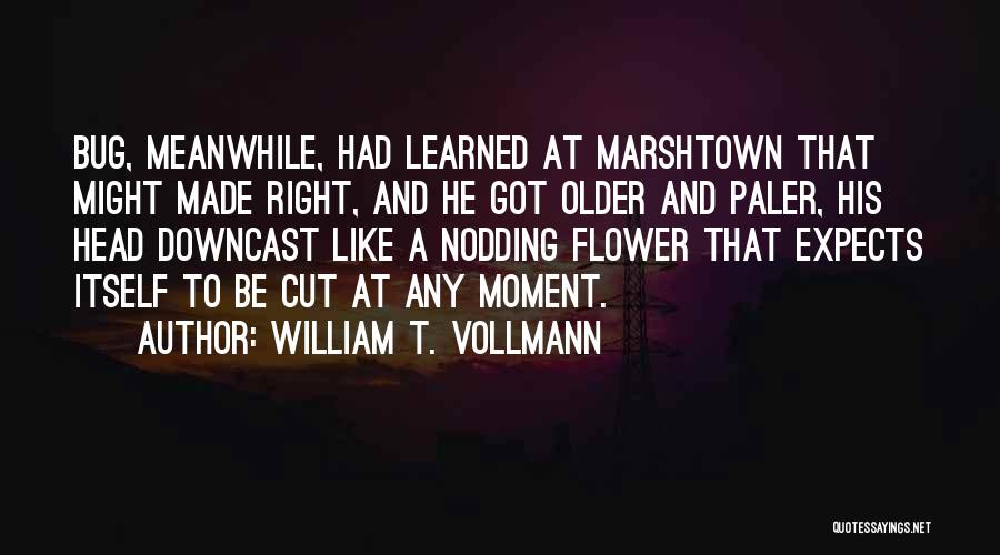 Downcast Quotes By William T. Vollmann