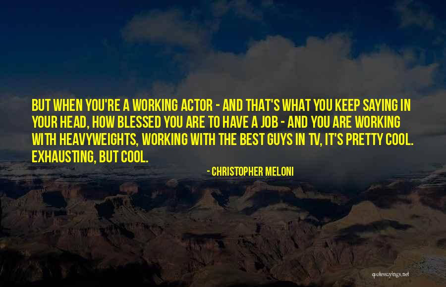 Downhere Here I Am Quotes By Christopher Meloni Downhere Here I Am Quotes By Christopher Meloni