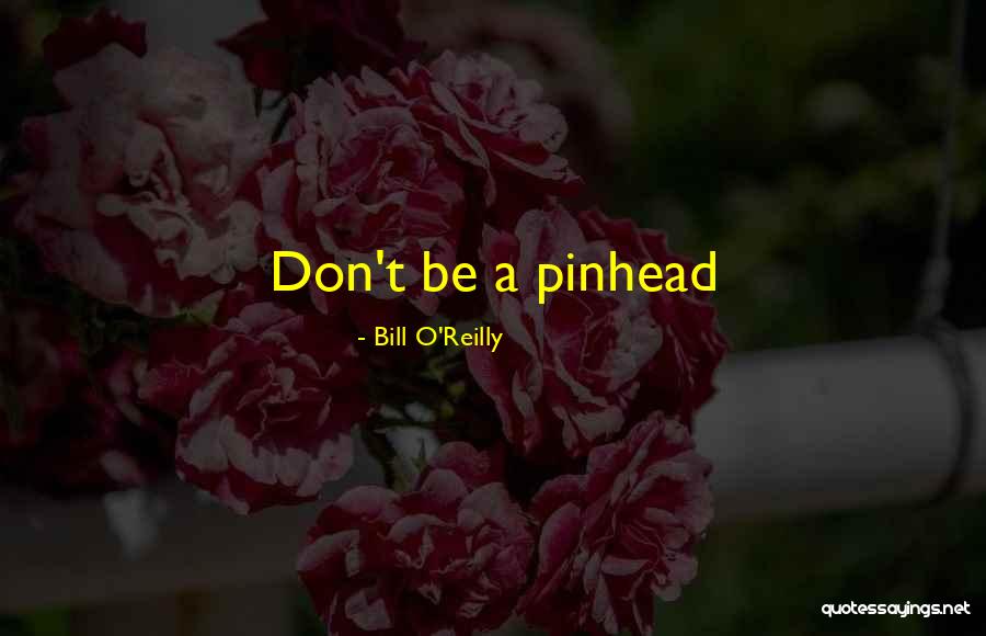 Downloadable Resume Quotes By Bill O'Reilly Downloadable Resume Quotes By Bill O'Reilly