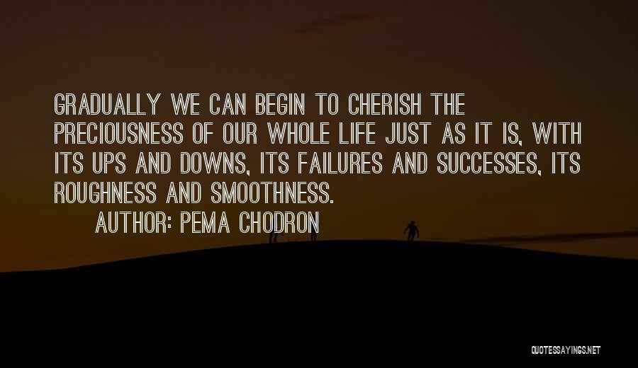 Downs And Ups Quotes By Pema Chodron
