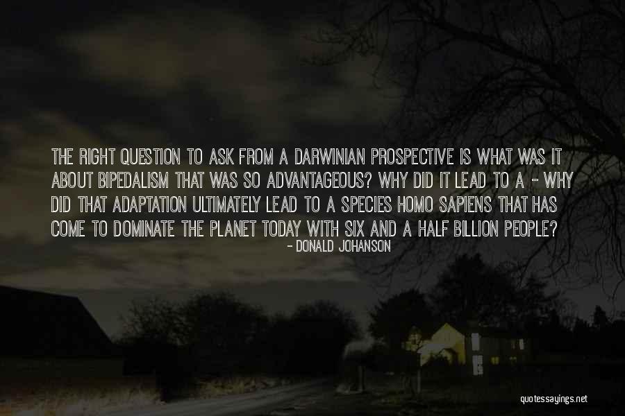 Downsides Of Social Media Quotes By Donald Johanson Downsides Of Social Media Quotes By Donald Johanson