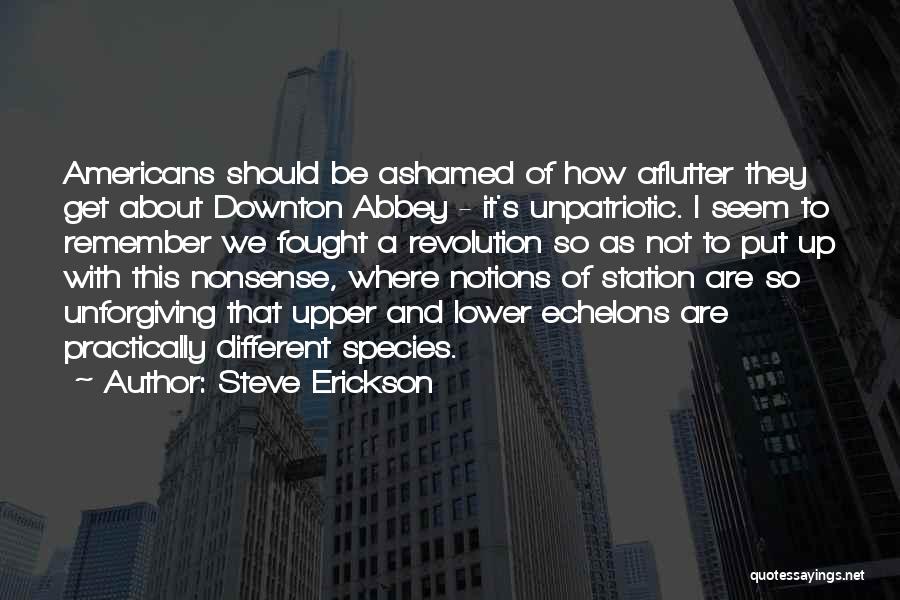 Downton Abbey Quotes By Steve Erickson