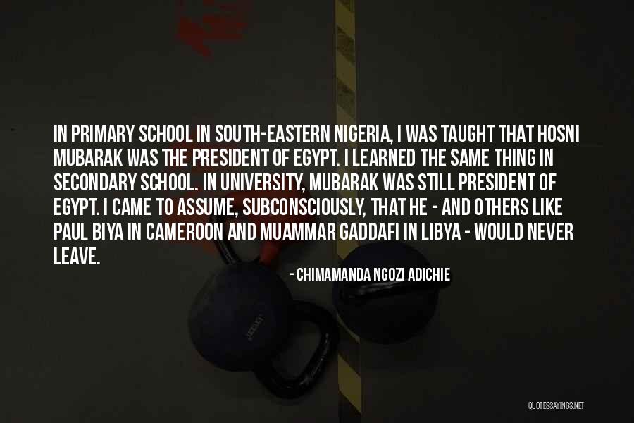 Downton Abbey Season 2 Episode 2 Quotes By Chimamanda Ngozi Adichie