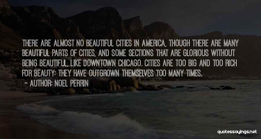 Downtown Chicago Quotes By Noel Perrin