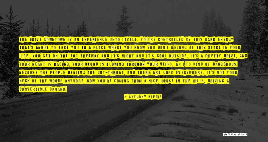 Downtown Life Quotes By Anthony Kiedis Downtown Life Quotes By Anthony Kiedis