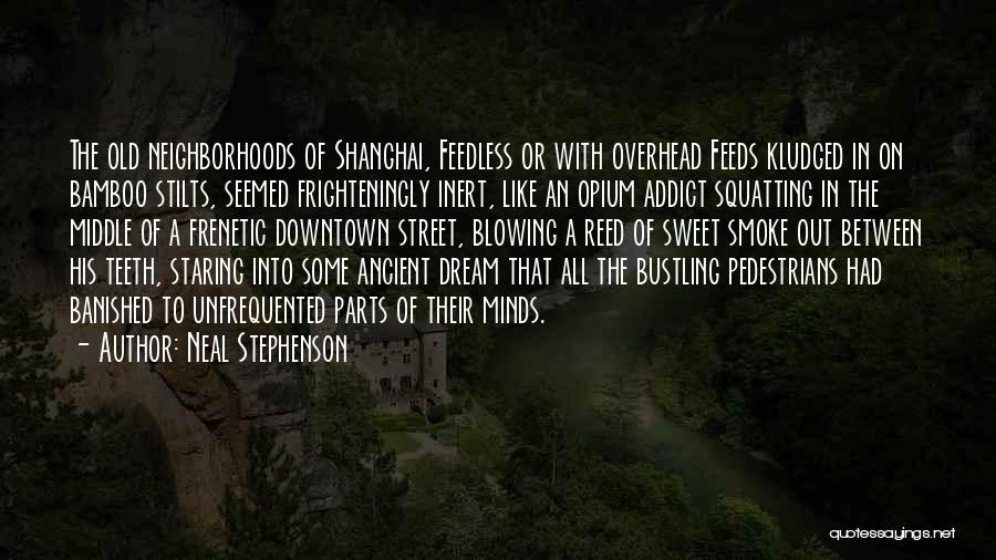 Downtown Quotes By Neal Stephenson