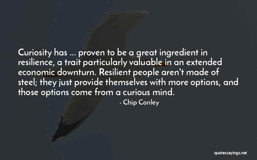 Downturn Quotes By Chip Conley Downturn Quotes By Chip Conley