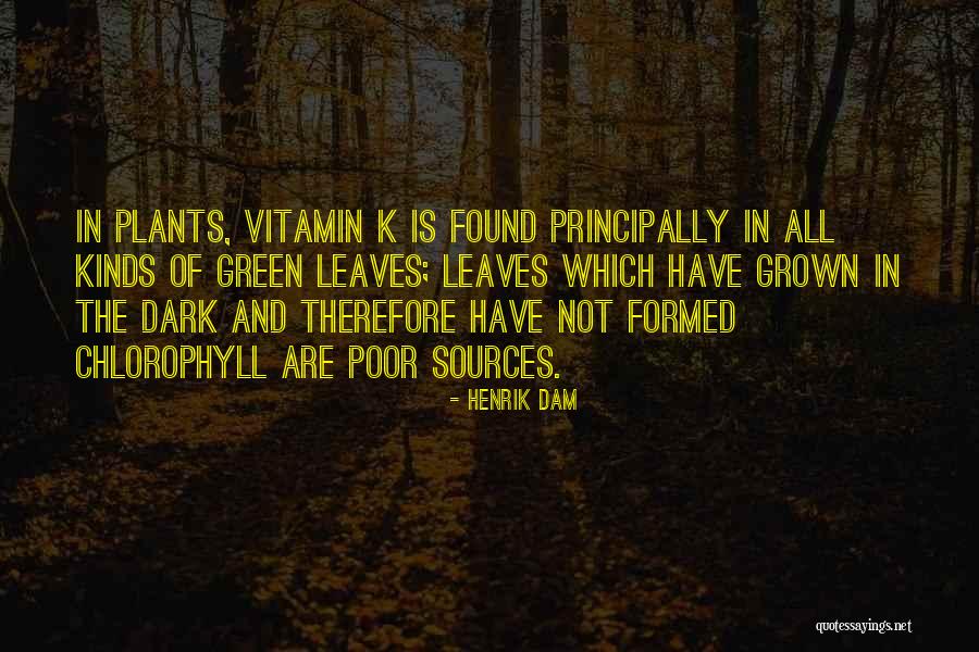Dowsey Norman Quotes By Henrik Dam Dowsey Norman Quotes By Henrik Dam