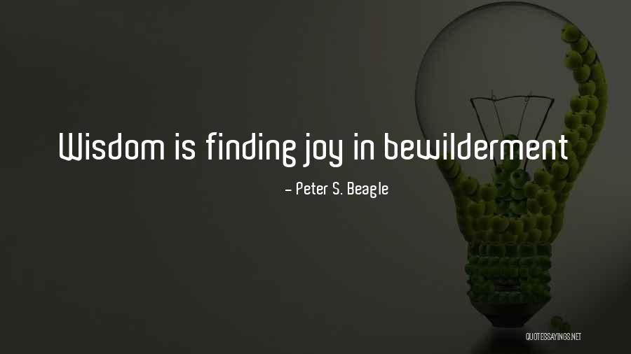 Dowty Quotes By Peter S. Beagle Dowty Quotes By Peter S. Beagle