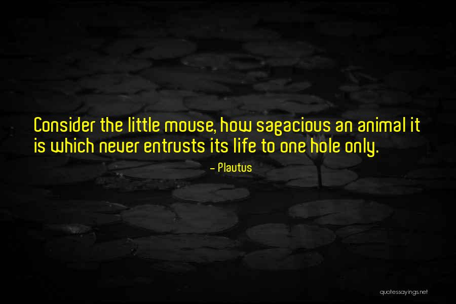 Doyen Intestinal Forceps Quotes By Plautus Doyen Intestinal Forceps Quotes By Plautus