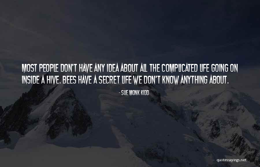 Doyok Pelawak Quotes By Sue Monk Kidd Doyok Pelawak Quotes By Sue Monk Kidd