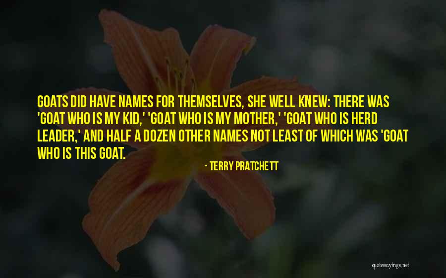 Dozen Best Quotes By Terry Pratchett Dozen Best Quotes By Terry Pratchett
