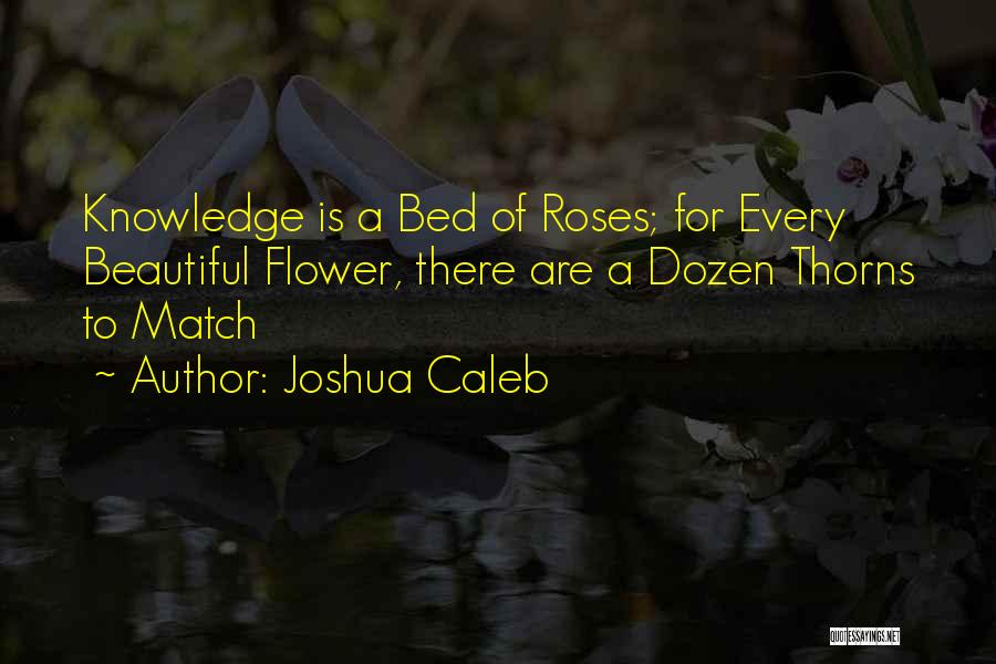 Dozen Roses Quotes By Joshua Caleb