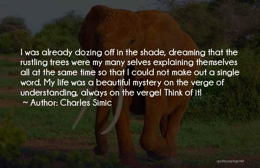 Dozing Off Quotes By Charles Simic