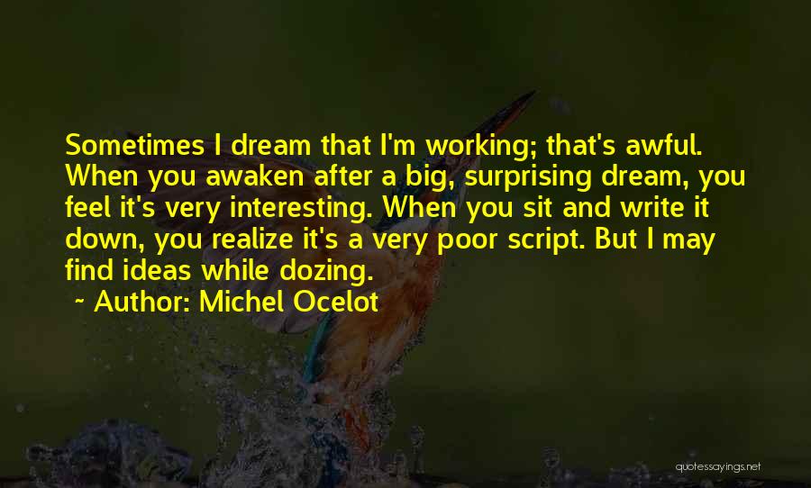 Dozing Off Quotes By Michel Ocelot
